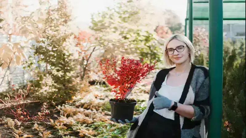 Designing a Landscape That’s Both Functional and Beautiful