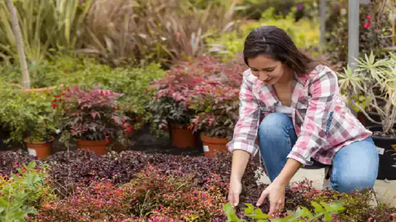 Deer-Resistant Landscaping Ideas That Boost Your Home’s Curb Appeal